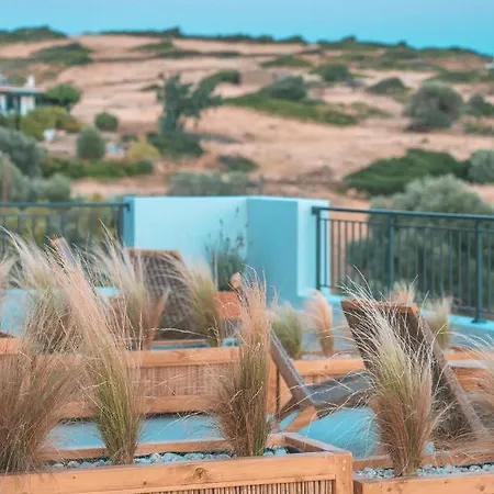 Triantafilia アイイ・アポストロ