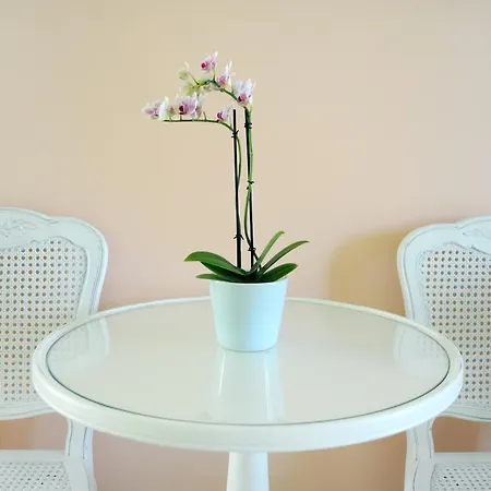 Apartmán Triantafilia Agioi Apostoloi (Evia)