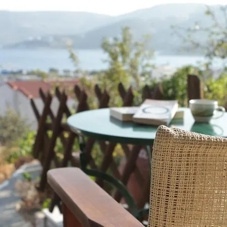 Διαμέρισμα Triantafilia Άγιοι Απόστολοι